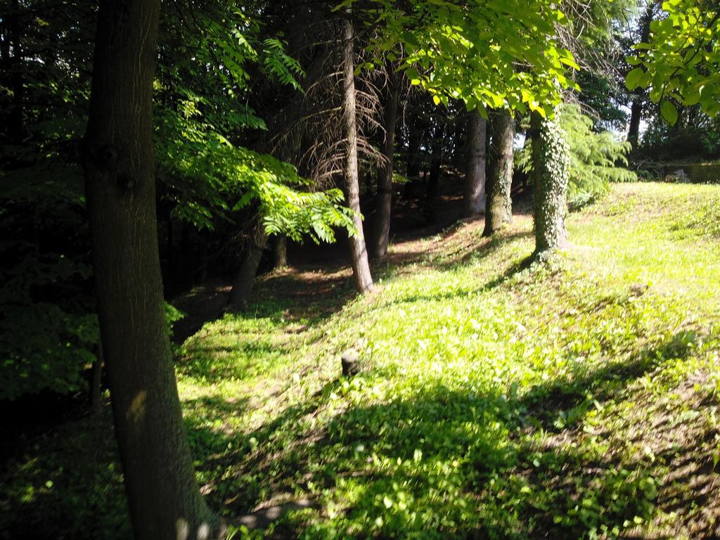 Pensjonat Casa Badinot Diano dʼAlba Pokój zdjęcie