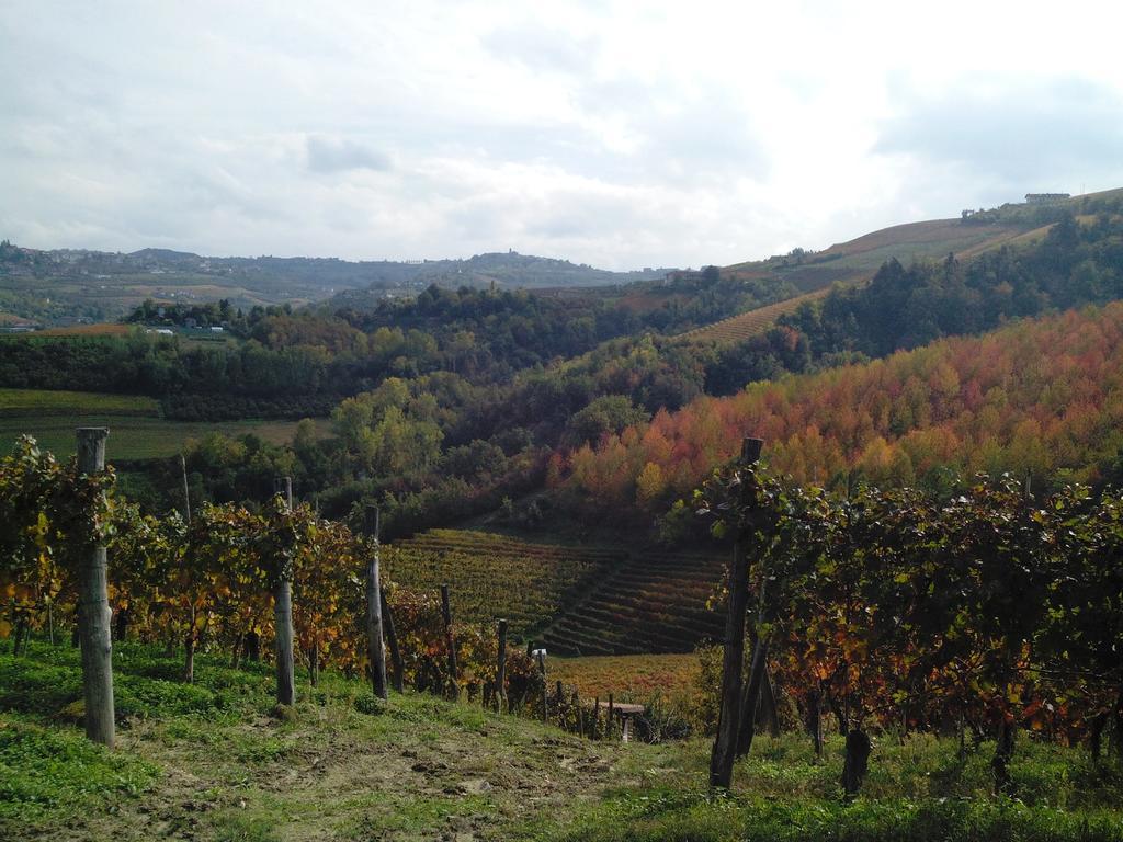 Pensjonat Casa Badinot Diano dʼAlba Zewnętrze zdjęcie