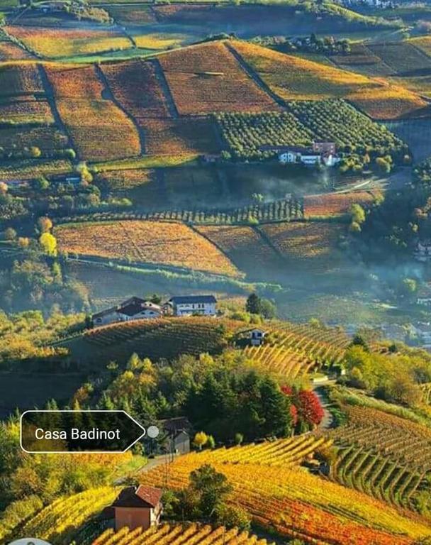 Pensjonat Casa Badinot Diano dʼAlba Zewnętrze zdjęcie